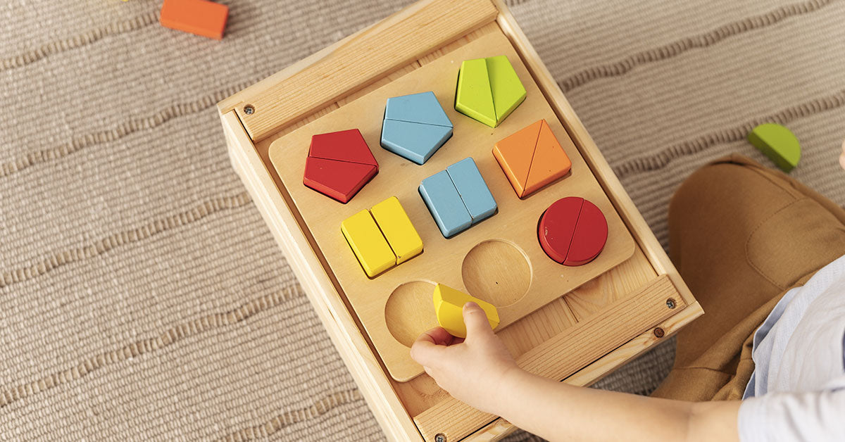 Montessori Toys: Purposeful Play for Early Learning